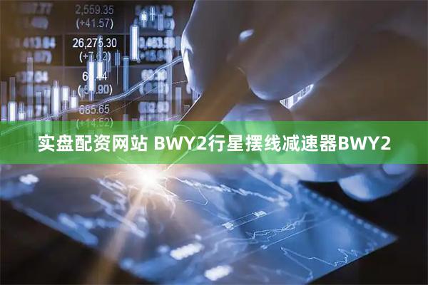 实盘配资网站 BWY2行星摆线减速器BWY2